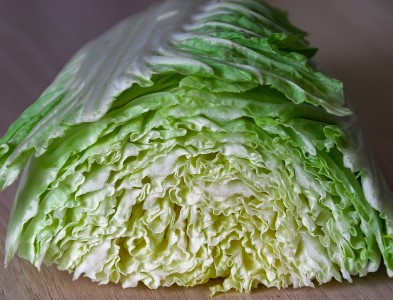 白菜の画像